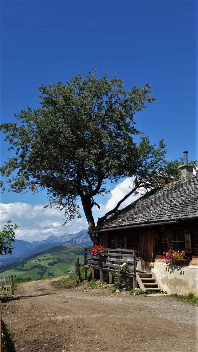 Almhütte in Salzburg