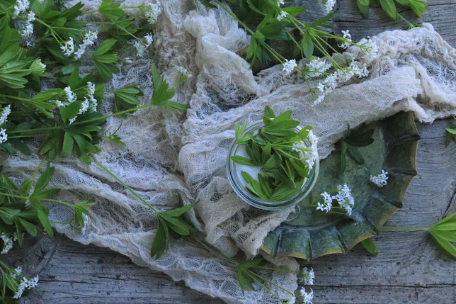 Waldmeister und Zucker