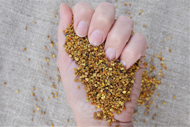 Blütenpollen, was ich über Blütenpollen weiß