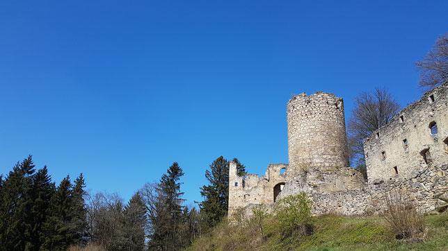 Burg Prandegg