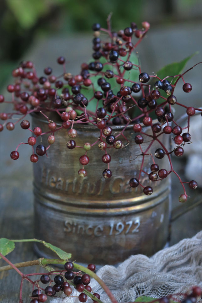 Hlunderbeeren
