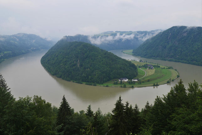 Ausflug zur Schlögener Schlinge