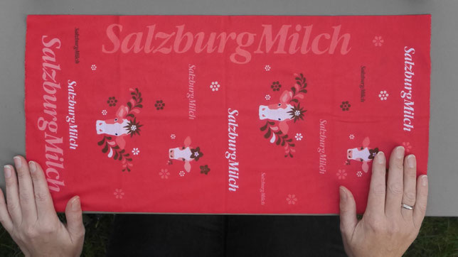 Mundschutz basteln