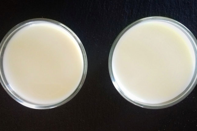 Alternativen zu Tiermilch