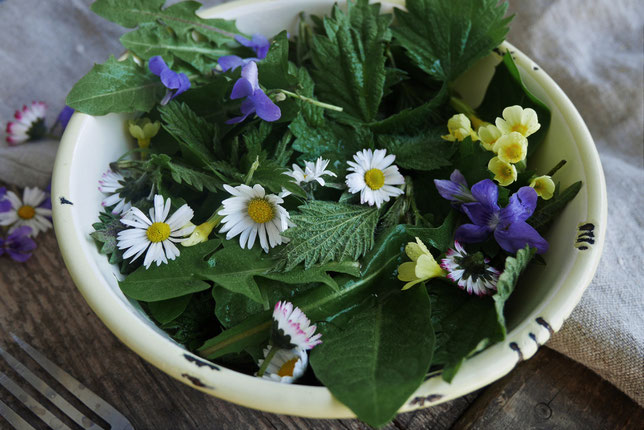 Wildkräutersalat