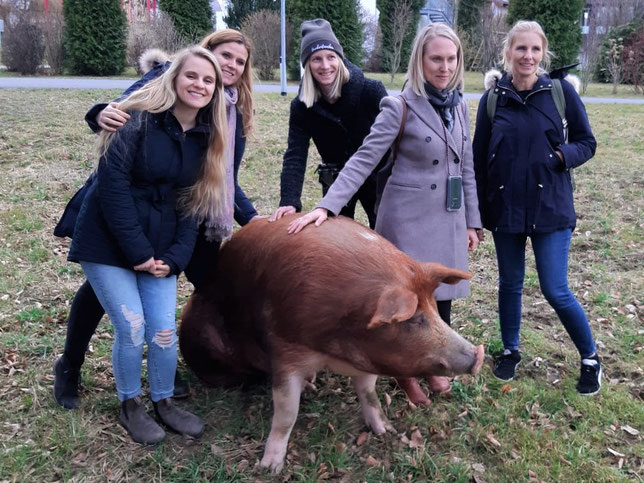 Bloggertreffen in der Steremark