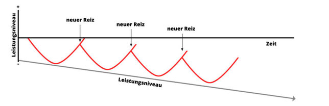 falsches Training