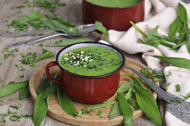 Bärlauchsuppe