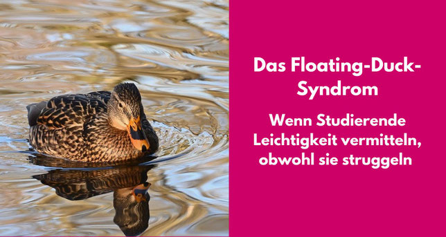 Ente. Bezeichnet: Das Floating-Duck-Syndrom. Wenn Studierende Leichtigkeit vermitteln, obwohl sie struggeln