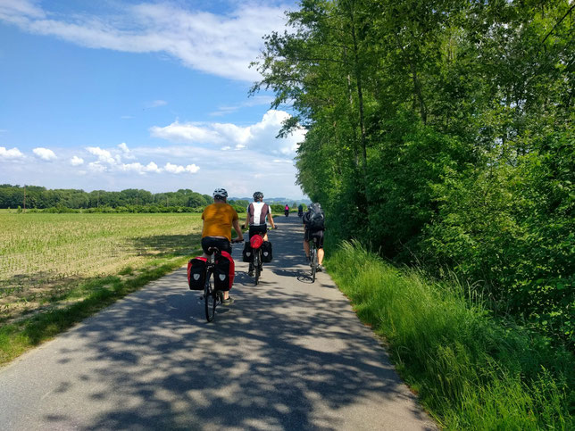 Donauradweg Linz nach Wien