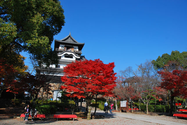 ２０１９年 秋の紅葉 紅葉狩り 愛知 岐阜 三重 見頃 ライトアップ 穴場スポットは 名古屋発こどもの遊び場