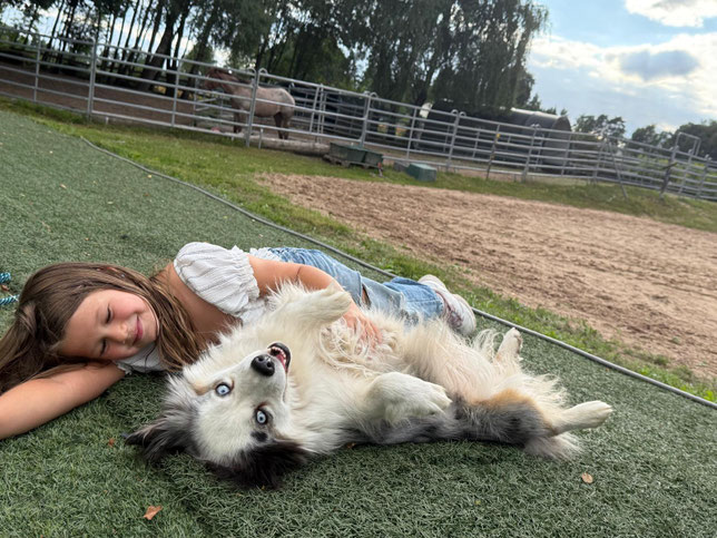 kleines Mädchen kuschelt mit Mini-Australian Shepherd Hündin Gretchen
