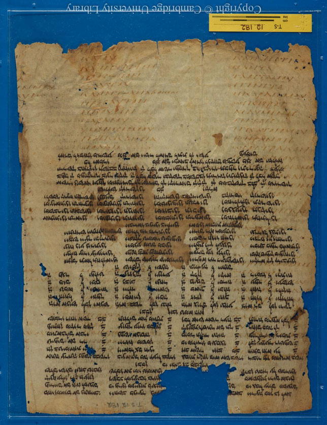 Le manuscrit Taylor-Schechter 12.182 est un palimpseste provenant de la guéniza du Caire et datant du 7e siècle après J-C. Il contient les Hexaples d’Origène sur le livre des Psaumes. Le texte grec presque effacé a été recouvert par un piyyout.