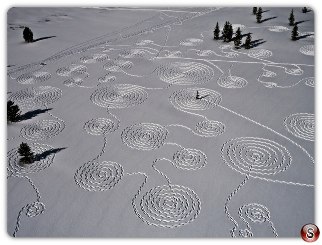 Giant Snow Drawing Art - by Sonja Hinrichsen