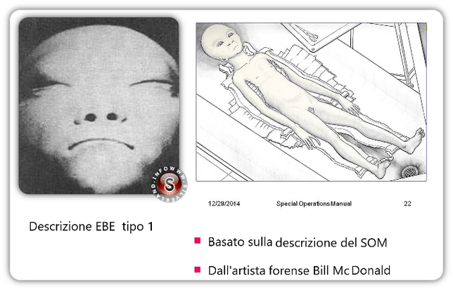 Sopra, in una foto di provenienza anonima, il probabile aspetto di un alieno EBE di tipo 1
