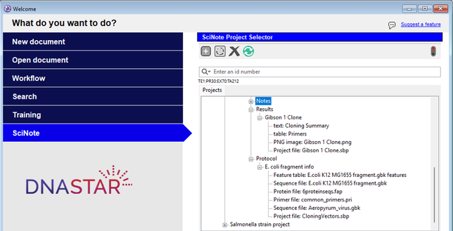 Database & Search