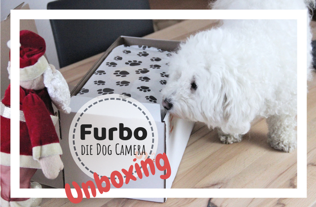 Furbo Hundekamera Bichon frisé