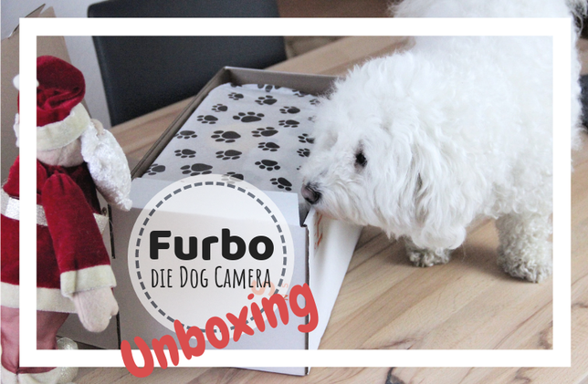 Furbo Hundekamera Bichon frisé 