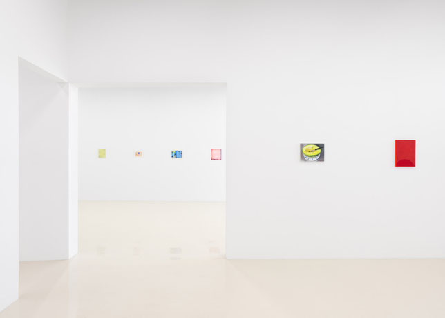 A Minor Constellation, 2022, exhibition view, Chris Sharp Gallery, Los Angeles