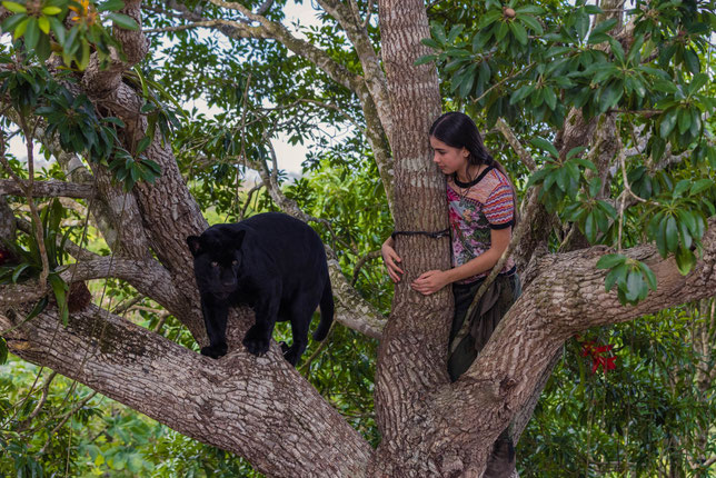 Autumn (Lumi Pollack) retourne dans la forêt amazonienne pour sauver sa meilleure amie, Hope, une femelle jaguar (©Mai Juin Productions/ Wishing Tree Productions/ StudioCanal).