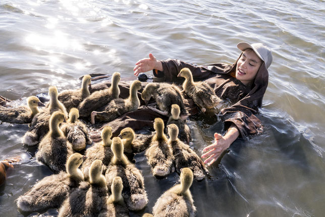 Dès la naissance, les oies adoptent le jeune adolescent (Louis Vazquez) comme parent (©SND).