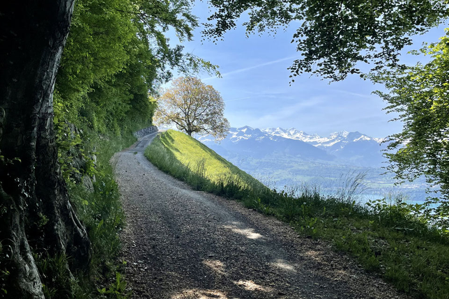 Wanderweg über dem Thunersee