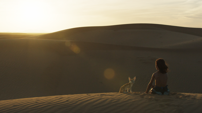 Seul dans le désert avec son ami le petit fennec, Hadara (Nahel Tran), élevé par des autruches, ne rate jamais un coucher de soleil (©Mai-Juin Productions/StudioCanal/Umedia Production).