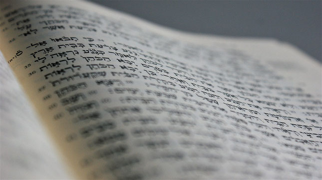 Pages of the Torah