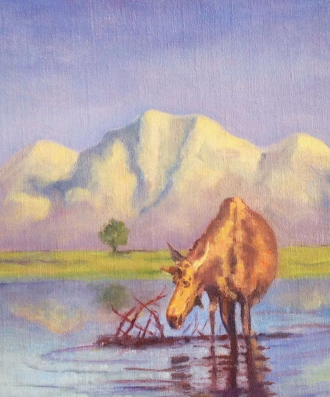 Moose on the Loose