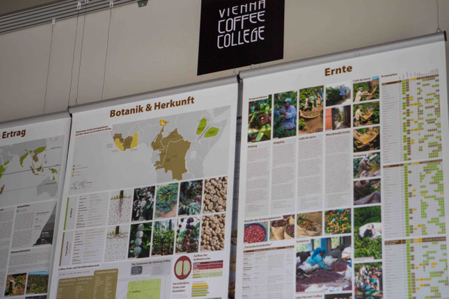 Kaffeeinformationen auf Wandtafeln im Vienna Coffee College