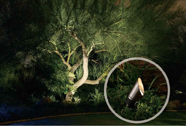 LED-Farb-Inszenierung - Bewässerung | Teich | Beleuchtung in Köln