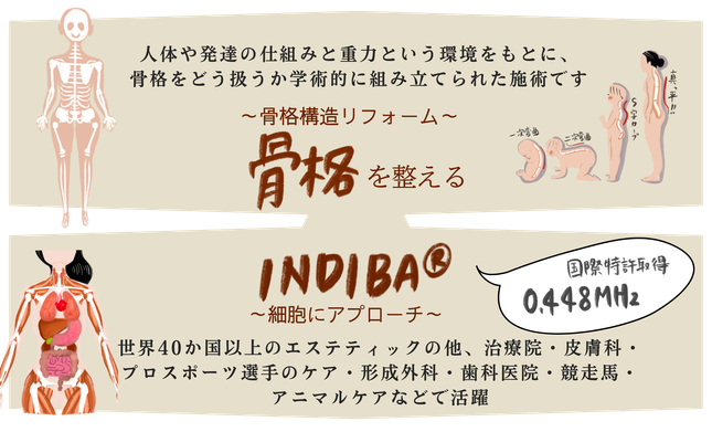 人体や発達の仕組みと重力という環境をもとに、骨格をどう扱うか学術的に組み立てられた施術です。骨格構造リフォーム　骨格を整えるINDIBA®細胞にアプローチ　世界40か国以上のエステティックの他、治療院・皮膚科・プロスポーツ選手のケア・形成外科・歯科医院・競走馬・アニマルケアなどで活躍