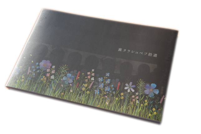 写真集『裏タウシュベツ拾遺』表紙