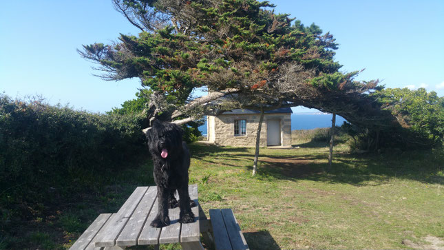 Reisen durch die Bretagne