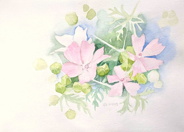 Aquarellstudie "Malven im Garten": Rosa gefärbte Malven mit Blättern und Knospen