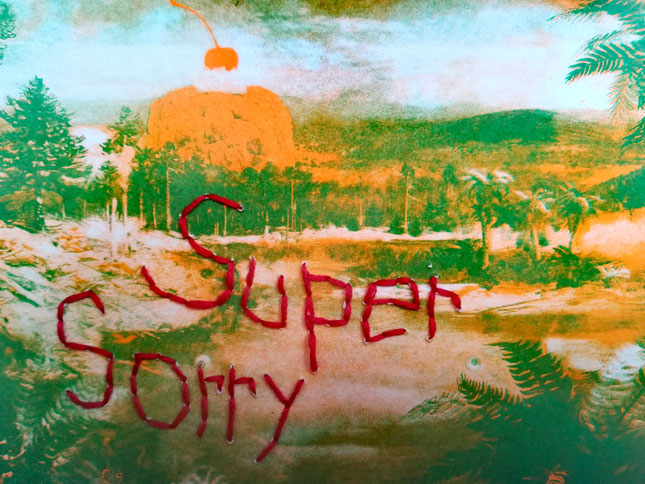 Foto: Barbara Ungepflegt