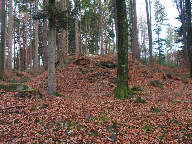 Burghügel (Motte), nähe Wildeck.