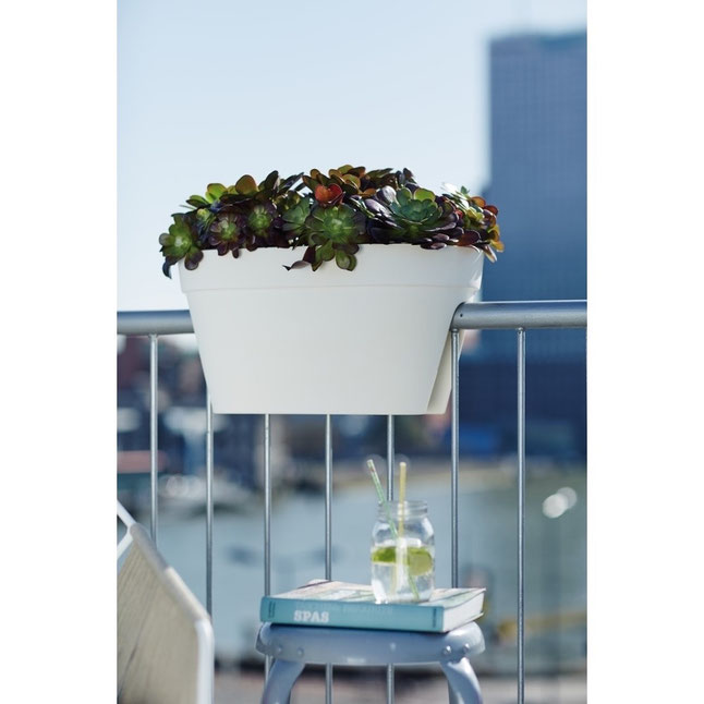 De beste balkonbakken om een moestuin in te beginnen