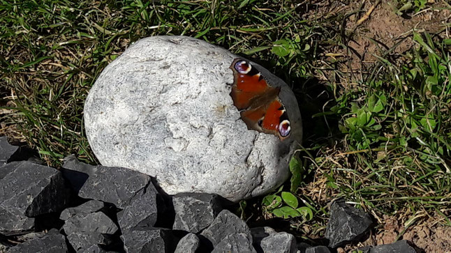 Naturritual Lebe Dein Licht 