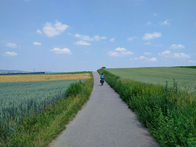 Feiner Weg durchs hügelige Weinviertel...