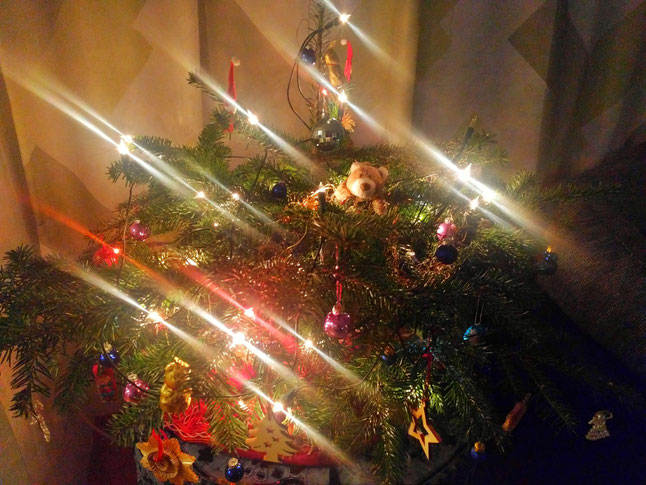 Auch Stups wünscht euch einen guten Rutsch (und ist begeistert vom Christbaum)