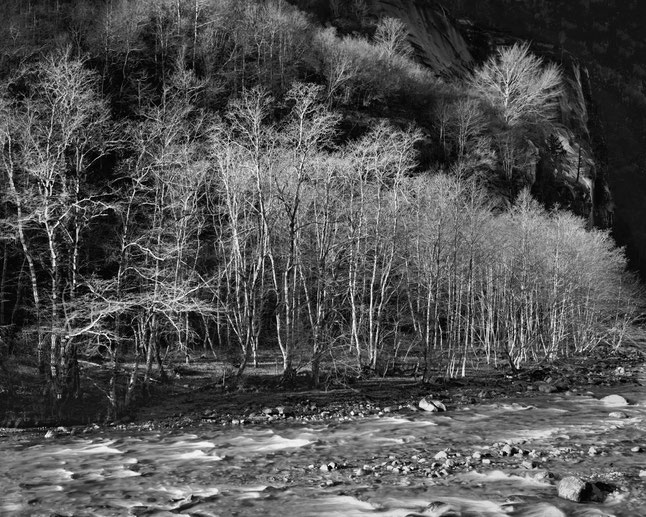 Val Bavona