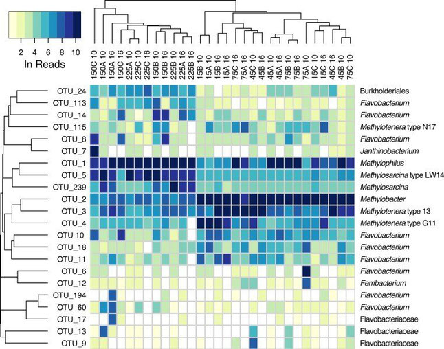 Metabarcoding in microbial Ecology - physalia-courses