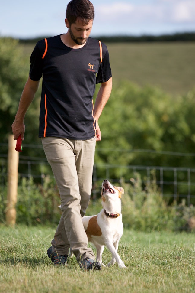 Competitive Obedience Dogs Matter Cooperative Dog Training in Exeter
