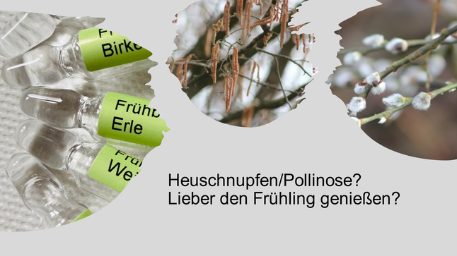 Heuschnupfen im Frühjahr wegen  Frühblüher. Anzeichen einer Pollinose oder Heuschnupfen sind Augentränen, die Nase läuft auch Fieber kann möglich sein.