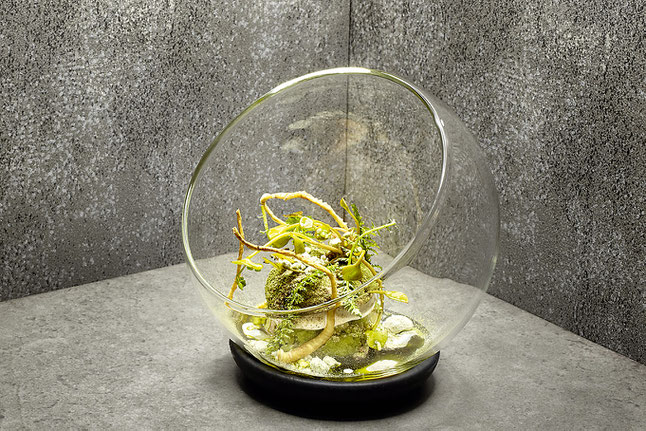 Foto ©: BestChefs | Jan C. Brettschneider
