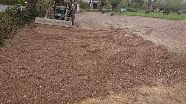 Poesie Uber Islandpferde Islandpferde Vom Holsteiner Auenland Christina Mletzeck