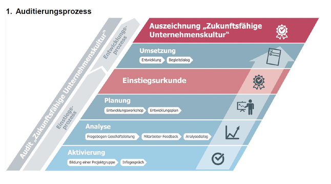 Schritte des Prozesses