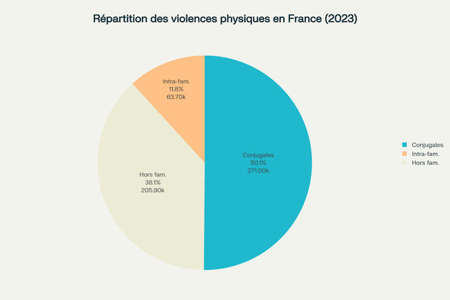 Répartition des violences physiques en France