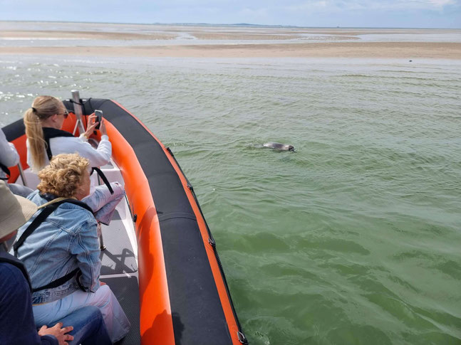 Schipper op RIB-boot met lachende passagiers tijdens zeehondentocht op Terschelling van I Like Terschelling